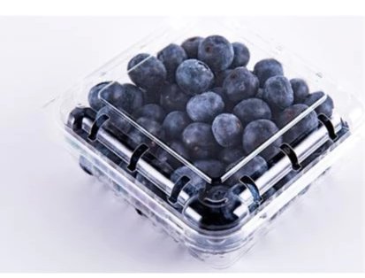 Clear Rectangular Square Container